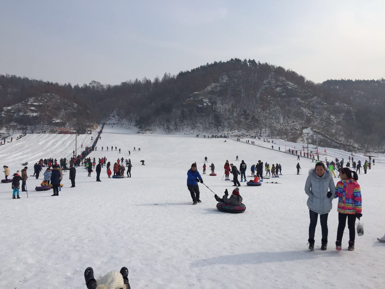 微信圖片 微信圖片